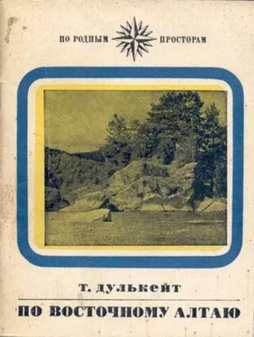 Тигрий Дулькейт По Восточному Алтаю обложка книги