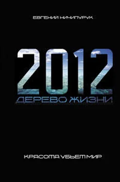 Евгений Ничипурук 2012. Дерево Жизни обложка книги