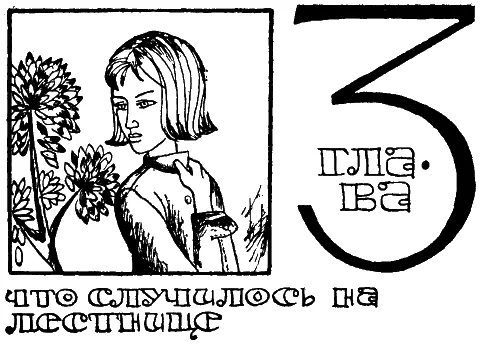 Со двора вновь послышались суматошные крики ребят Петух на меня Эх - фото 5