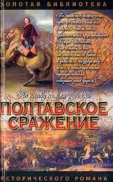 Андрей Серба Полтавское сражение. И грянул бой обложка книги