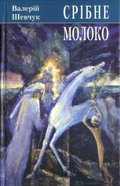 Валерий Шевчук Срібне молоко обложка книги