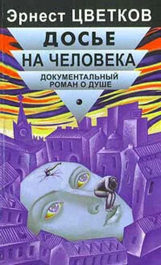 Эрнест Цветков Досье на человека обложка книги