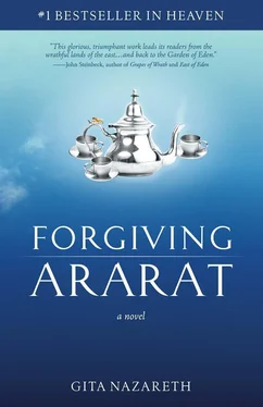 Gita Nazareth Forgiving Ararat обложка книги