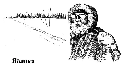 Петя тридцатилетний молодой человек выйдя на улицу из барака взглянул на - фото 35
