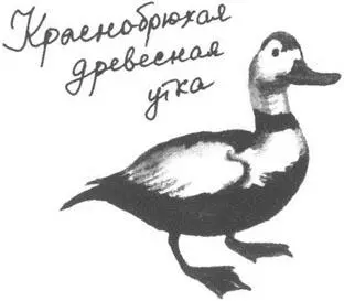 Малик Сколько лет сколько зим Давненько не виделись Давнеееенько - фото 5