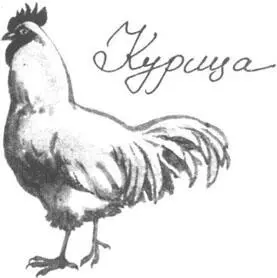 Температура в кухне отеля Саффолк превысила сто градусов по Фаренгейту и - фото 40
