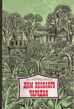 Владимир Кораблинов Дом веселого чародея обложка книги