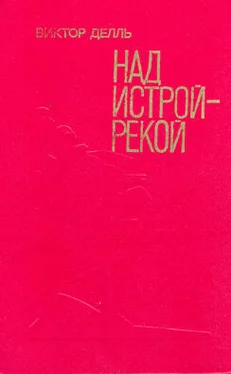 Виктор Делль Базальт идёт на Запад обложка книги