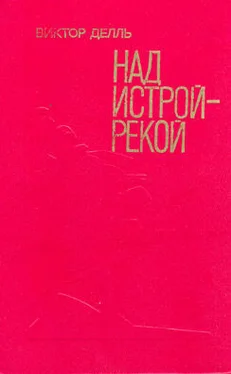 Виктор Делль Над Истрой-рекой обложка книги