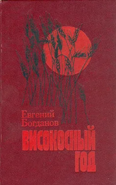 Евгений Богданов Високосный год: Повести обложка книги