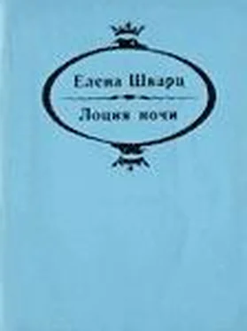 Елена Шварц Лоция ночи обложка книги