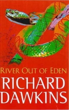 Richard Dawkins River Out Of Eden обложка книги