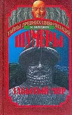 Мариан Белицкий Шумеры. Забытый мир обложка книги