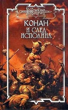 Питер Нейл След исполина обложка книги