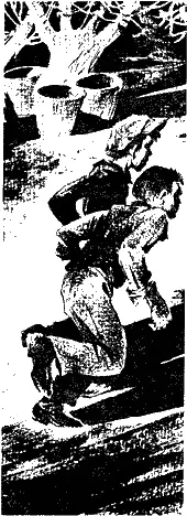 Ребят как сдуло со стены Они неслись двором перепрыгивая через помидорные - фото 4