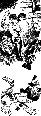 Наконец калитку открыли Входи давай пригласил хозяин Я финтить не - фото 6