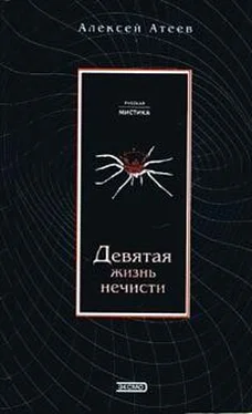 Алексей Атеев Девятая жизнь нечисти обложка книги