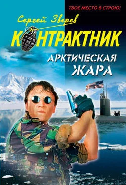 Сергей Зверев Арктическая жара обложка книги
