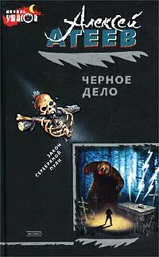 Алексей Атеев Мара обложка книги