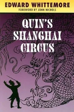 Edward Whittemore Quin’s Shanghai Circus обложка книги