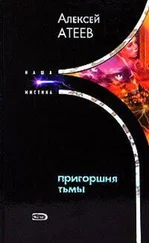 Алексей Атеев - Пригоршня тьмы