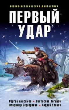 Сергей Анисимов Первый удар (сборник) обложка книги