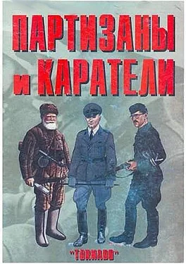 Антон Олейников Партизаны и каратели обложка книги