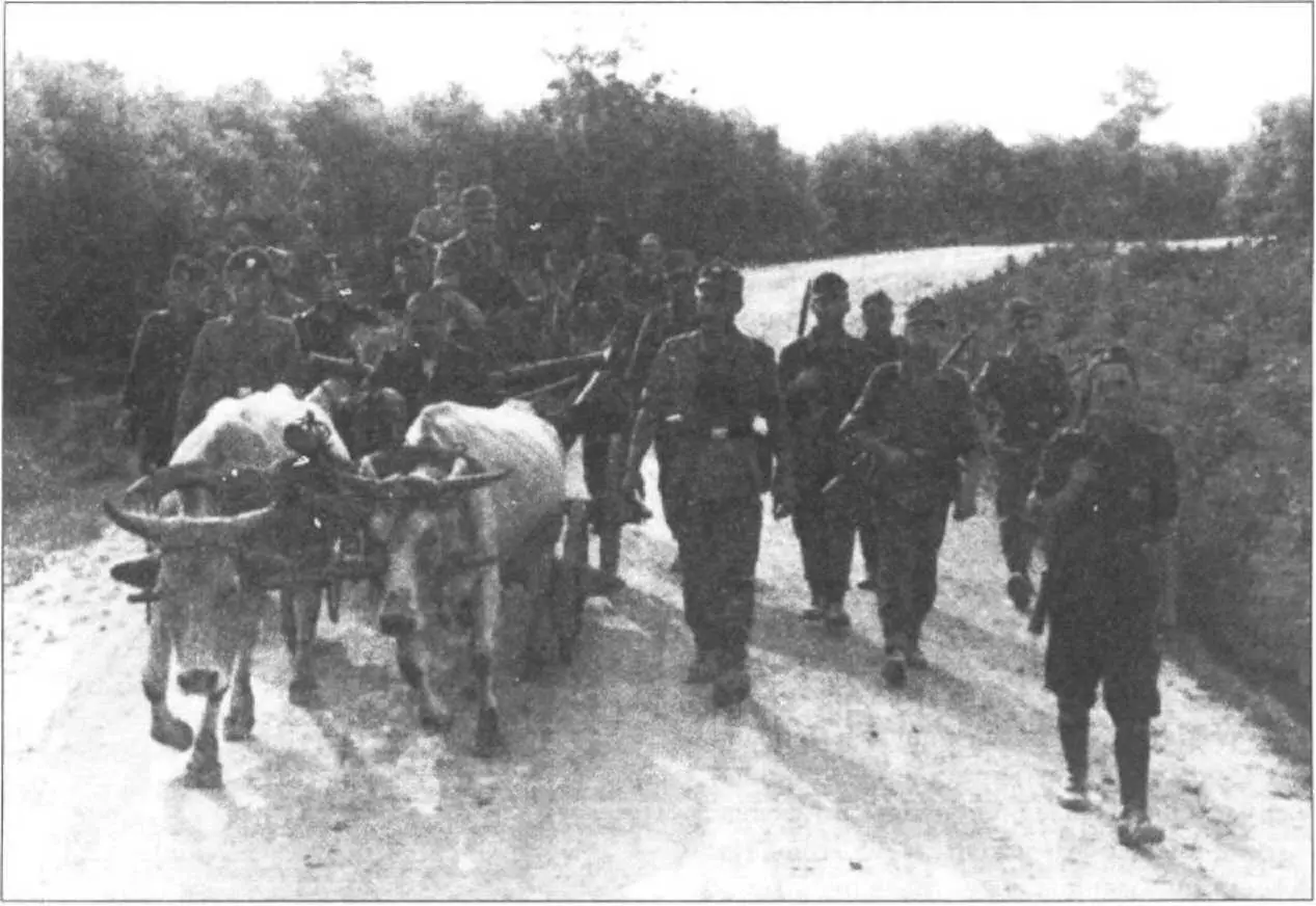 Июль 1943 Отряд немецкой полиции и солдаты сербского добровольческого корпуса - фото 30