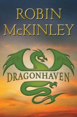 Robin McKinley Dragonhaven обложка книги