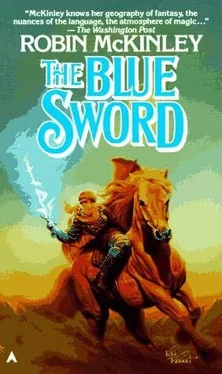 Robin McKinley The Blue Sword обложка книги