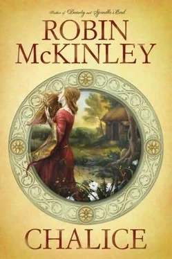 Robin McKinley Chalice обложка книги