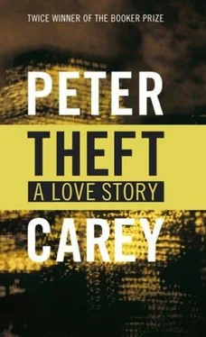 Peter Carey Theft: A Love Story обложка книги