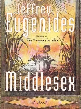 Jeffrey Eugenides Middlesex обложка книги