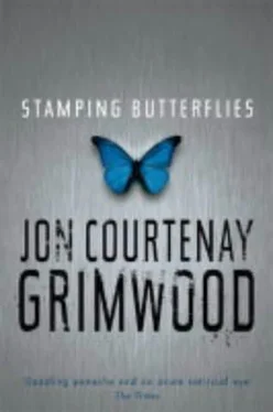 Jon Grimwood Stamping Butterflies обложка книги