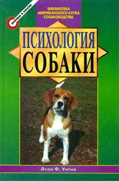 Леон Уитни Психология собаки. Основы дрессировки собак обложка книги