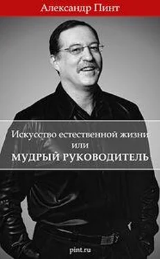 Александр Пинт ИСКУССТВО ЕСТЕСТВЕННОЙ ЖИЗНИ ИЛИ МУДРЫЙ РУКОВОДИТЕЛЬ обложка книги