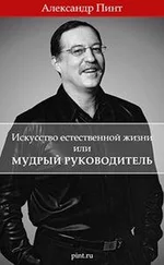 Александр Пинт - ИСКУССТВО ЕСТЕСТВЕННОЙ ЖИЗНИ ИЛИ МУДРЫЙ РУКОВОДИТЕЛЬ