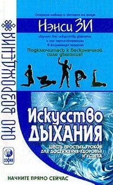 Зи Нэнси Искусство дыхания. Шесть простых уроков для достижения успеха, здоровья и процветания обложка книги