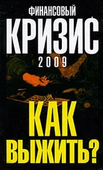Александр Попов - Финансовый кризис 2009. Как выжить
