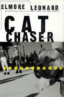 Elmore Leonard Cat Chaser обложка книги