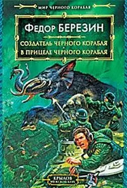 Федор Березин В прицеле черного корабля обложка книги