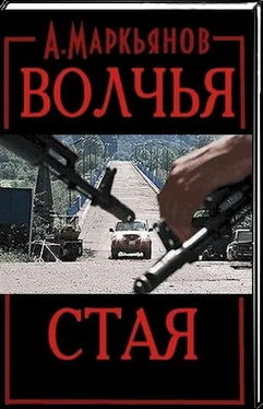 Александр Маркьянов Волчья стая обложка книги