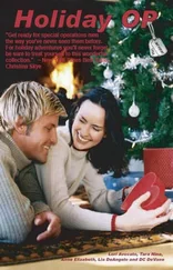 Lori Avocato - Holiday Op