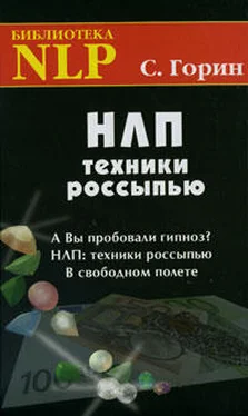 Сергей Горин НЛП. Техники россыпью обложка книги