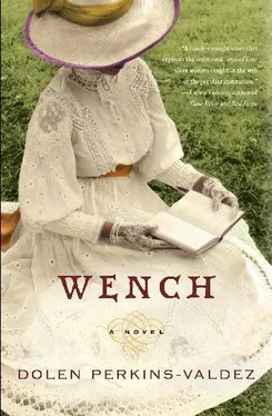 Dolen Perkins-Valdez Wench обложка книги