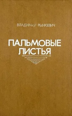 Владимир Рынкевич Пальмовые листья обложка книги