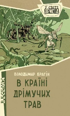 Владимир Брагин В країні дрімучих трав обложка книги