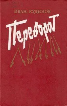 Иван Кудинов Переворот обложка книги