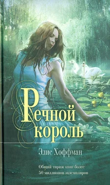 Элис Хоффман Речной король обложка книги