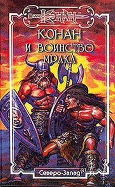 Патриция Селайнен Отступник обложка книги